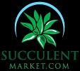 Succulent Market